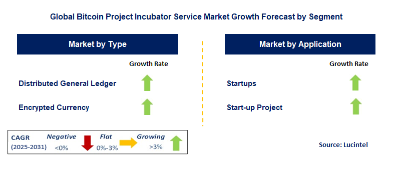 Bitcoin Project Incubator Service Market by Segment